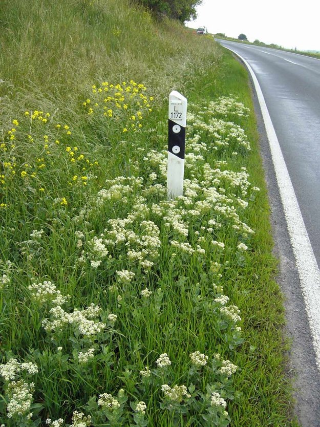 Artenschutz braucht viele Helfer (Foto: Landratsamt Kyffh&auml;userkreis)