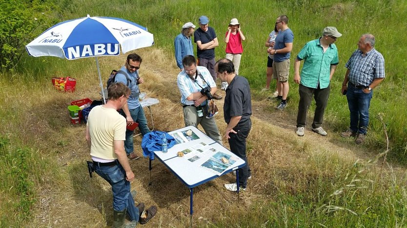 Bweidung (Foto: NaBu Olaf Pleyer)