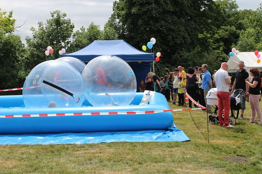 Bums da war der Kopf ab! (Foto: Privat)