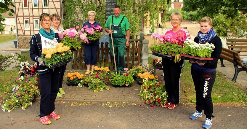 Farbenfreude durch Blumen (Foto: P. Grabe|Stadtverwaltung Nordhausen)