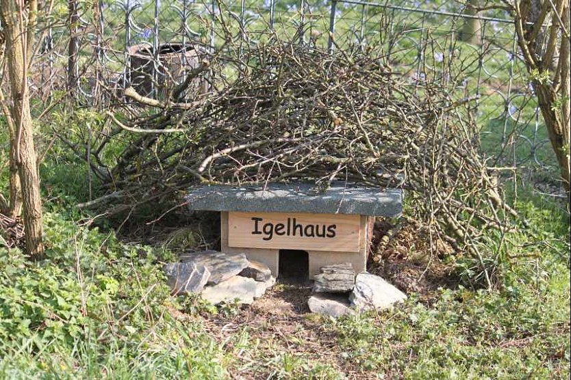 Auch Igel und Co. können es sich im Garten gemütlich machen (Foto: Marlis Biel / Werner Schumann) Auch Igel und Co. können es sich im Garten gemütlich machen (Foto: Marlis Biel / Werner Schumann)