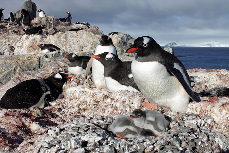 Klima wandelt Th&uuml;ringen (Foto: Rene Most)