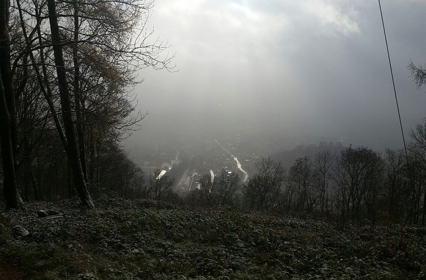 Blick auf Ilfeld von der Wetterfahne (Foto: privat)