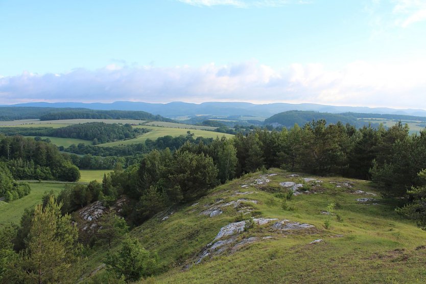 Der Naturpark S&uuml;dharz soll langfristig gesch&uuml;tzt werden (Foto: Jes)