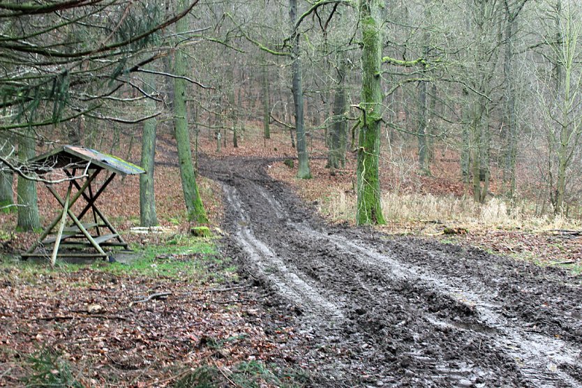 Br&uuml;ckental von Sondershausen meiden (Foto: Karl-Heinz Herrmann)