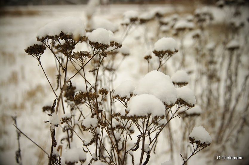 Wetter-Bild (Foto: Gernot Thelemann)