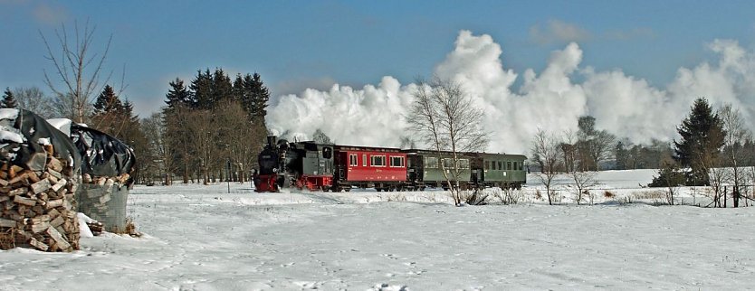 Unterwegs bei Benneckenstein (Foto: privat)
