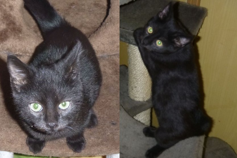 Tiere der Woche: Herta und Hannes (Foto: Birgit Hellrung)