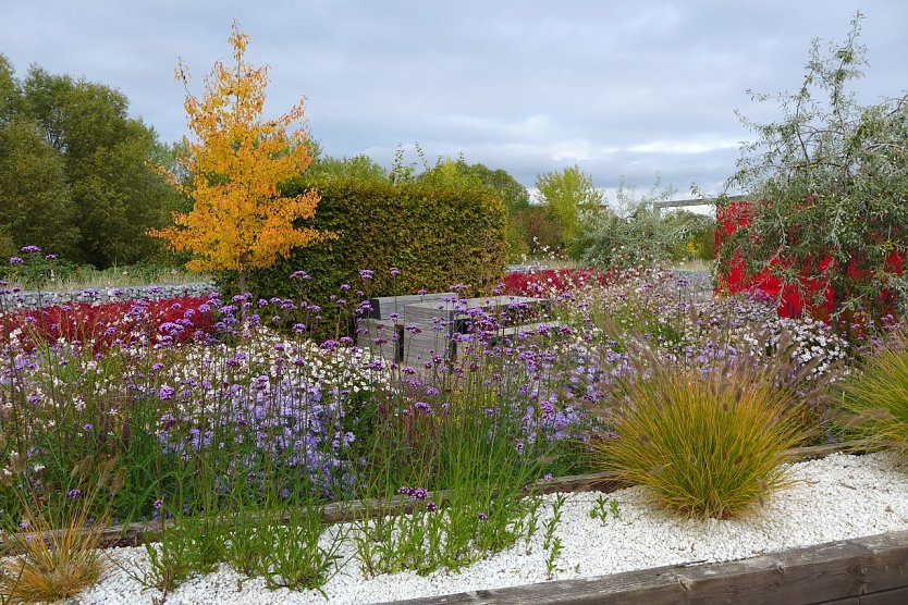 Der B&uuml;rgerpark in Wernigerode. (Foto: Klaus George/Regionalverband Harz)