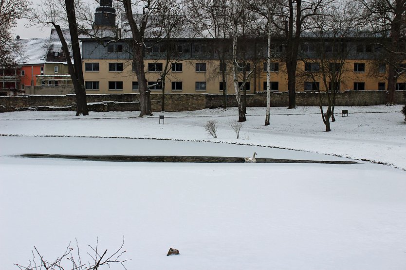 Gefährlicher Leichtsinn auf Parkteich (Foto: Karl-Heinz Herrmann) Gefährlicher Leichtsinn auf Parkteich (Foto: Karl-Heinz Herrmann)