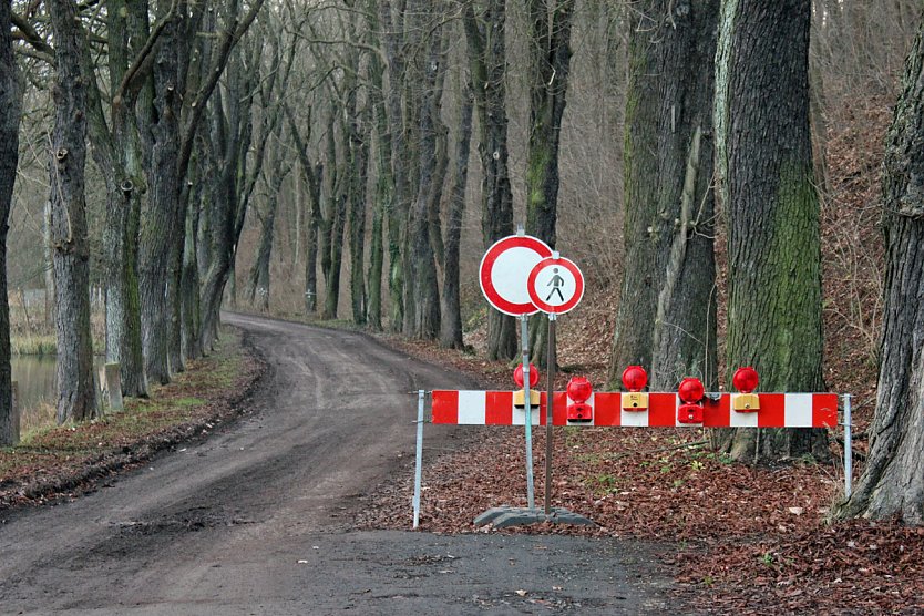 B&auml;ume hinterm Hammateich werden bearbeitet (Foto: Karl-Heinz Herrmann)
