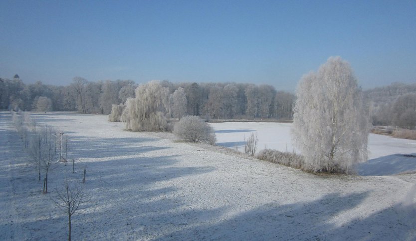 Winterzauber Am Schlosspark (Foto: AWO Seniorenpark Am Schlosspark )