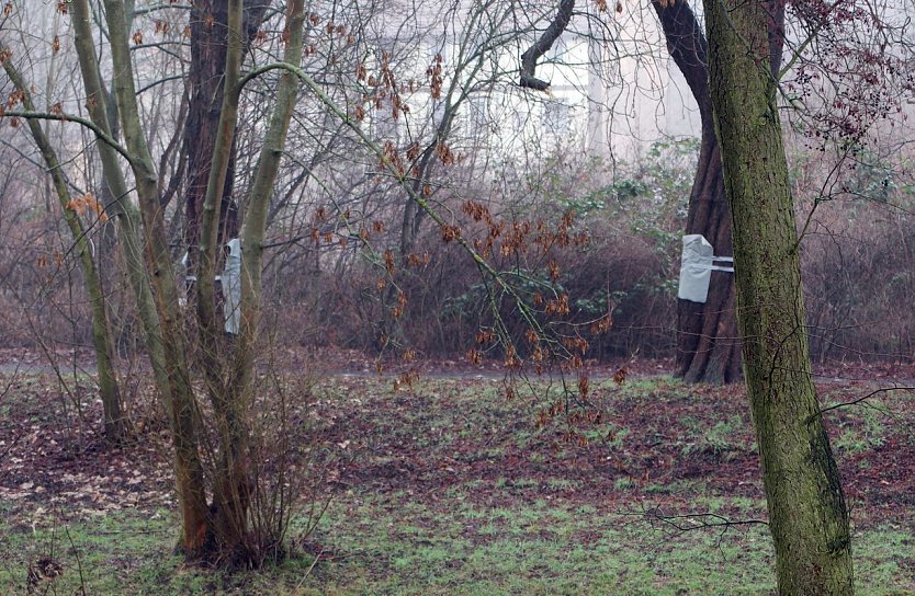 Verpackte Schmierereien (Foto: nnz)