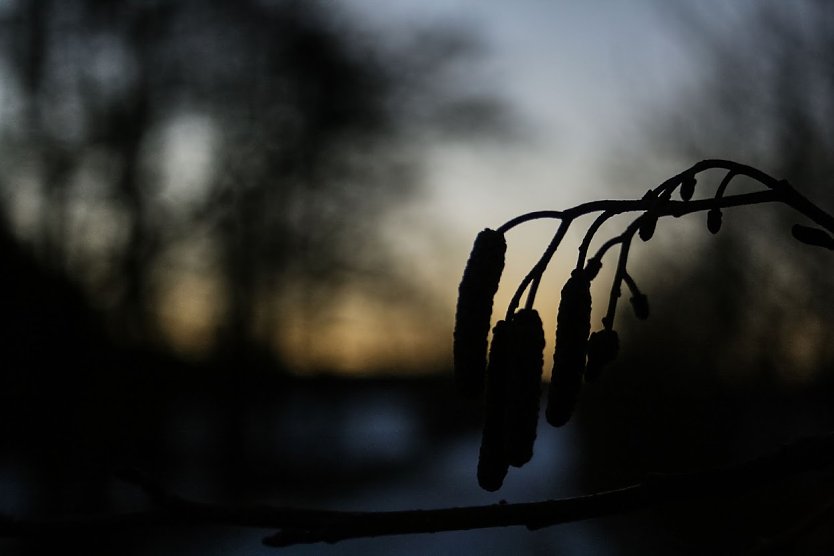 Wetter-Bild (Foto: Gernot Thelemann)