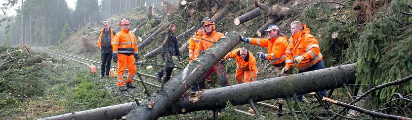 Sturmsch&auml;den werden beseitigt (Foto: Bahnsen/HSB)