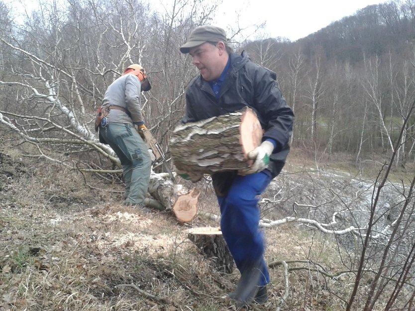Viel zu tun - der BUND war am Wochenende wieder in der R&uuml;digsdorfer Schweiz im Einsatz (Foto: Bodo Schwarzberg)