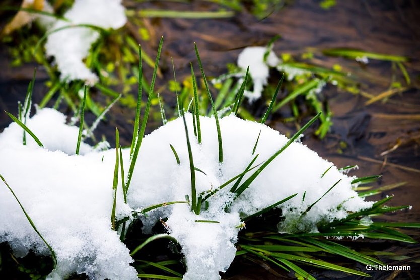 Wetter-Bild (Foto: Gernot Thelemann)
