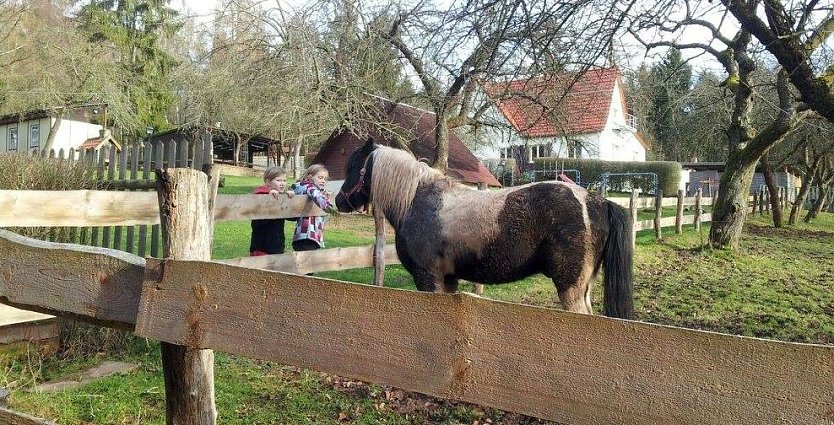 Feriencamp in Harzrigi (Foto: Horizont)