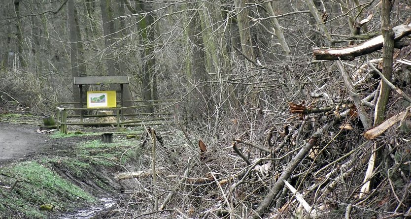 Katastrophe im Naherholungsgebiet (Foto: Kurt Frank)