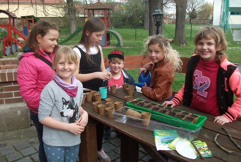 Kleine G&auml;rtner im DOMizil (Foto: Karl-Heinz Herrmann)