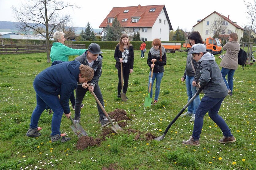 Der 6. Baum (Foto: ELKE ELBERN-G&Ouml;BEL)