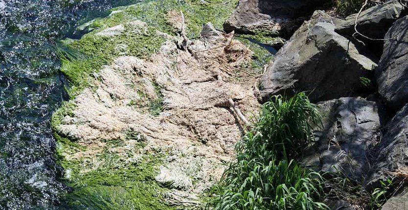 Probleme mit der Wipper? (Foto: Karl-Heinz Herrmann)