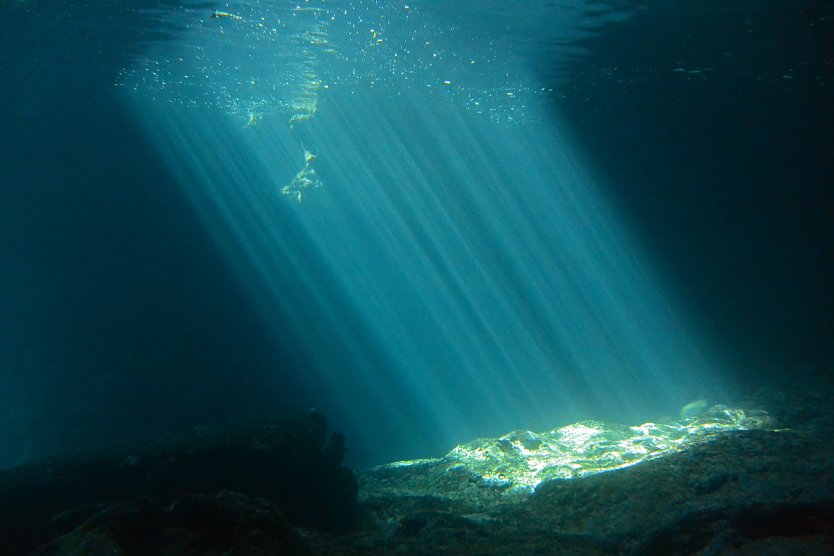 Tipps f&uuml;r die Unterwasserwelt (Foto: CHIP FOTO-VIDEO)