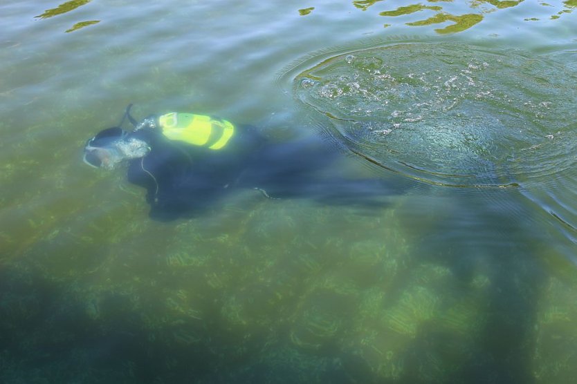 Taucher im Schwimmbad im Einsatz (Foto: Karl-Heinz Herrmann)
