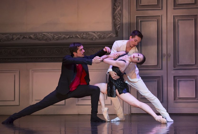 Schwanensee (Foto: theater)