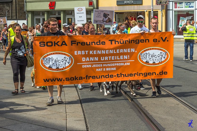 SOKA Run (Foto: Joachim Kühm ) SOKA Run (Foto: Joachim Kühm )