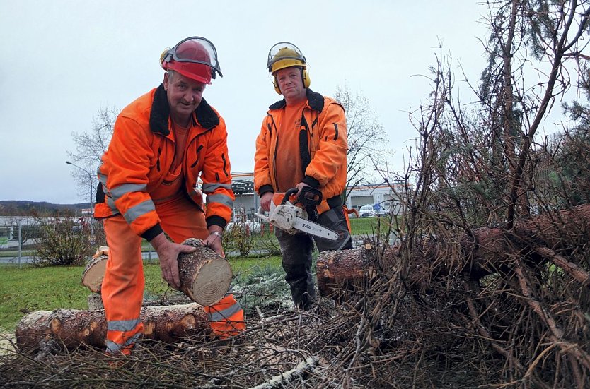 Test Gartentechnik (Foto: Natalie H&uuml;nger)