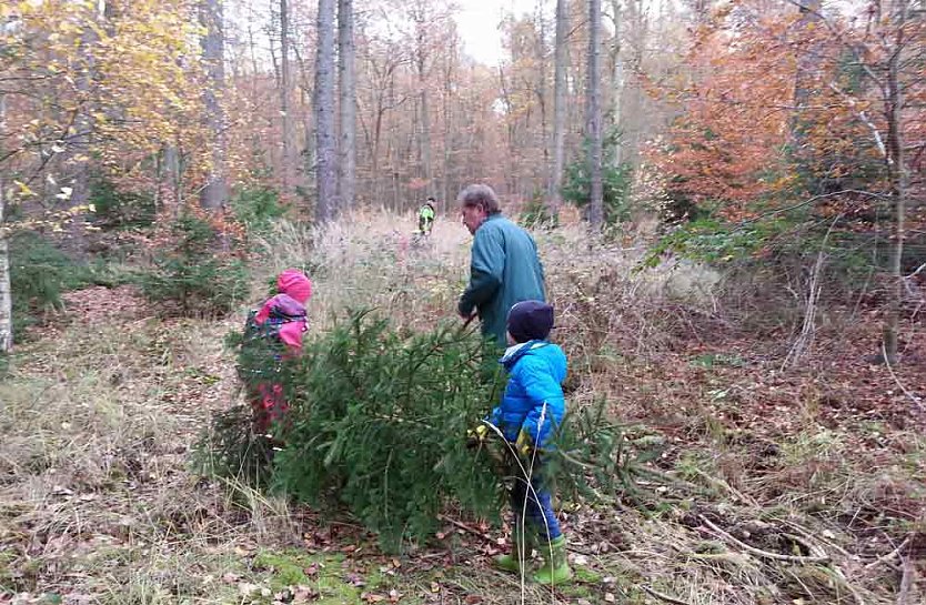Ein Tannenbaum f&uuml;r unsere Kindervilla (Foto: Kindervilla Bad Frankenhausen)