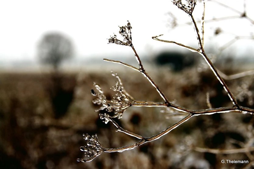 Wetter-Bild (Foto: Gernot Thelemann)