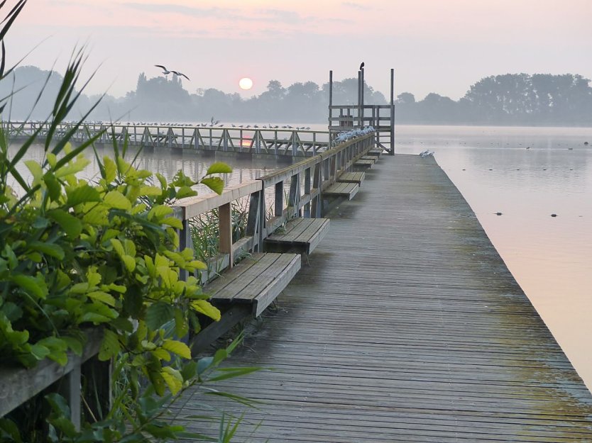 Seeburger See (Foto: Tina Klingebiel)