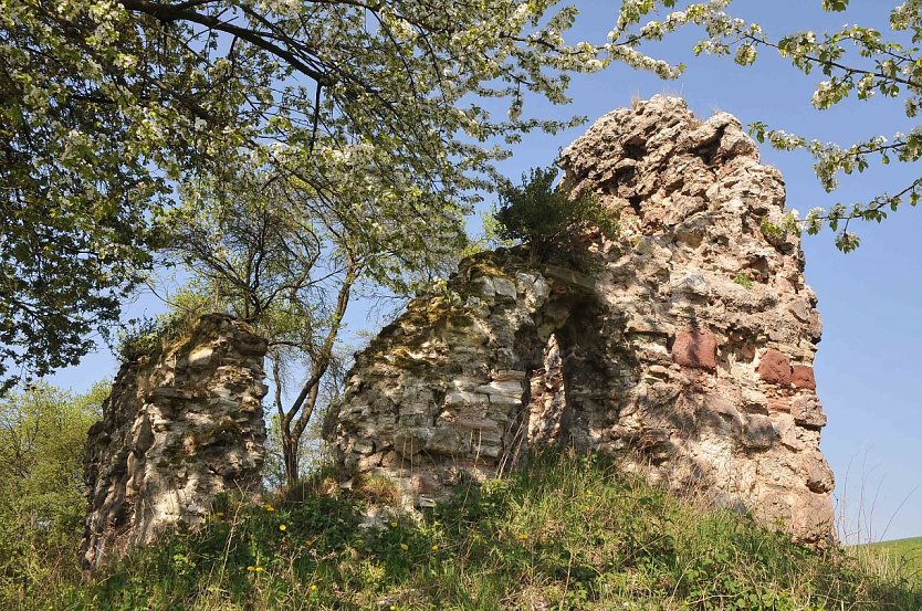 Burgruine Bernecke (Foto: Heinz Noack)