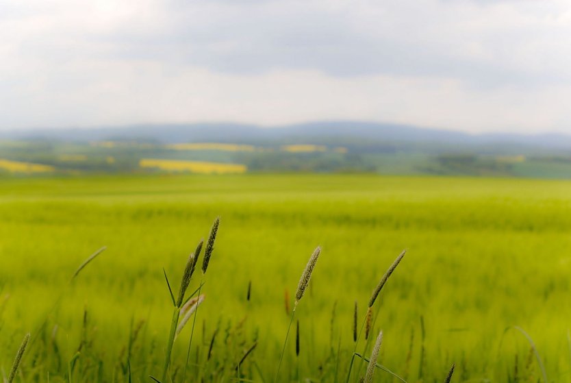 Wetter-Bild (Foto: Gernot Thelemann)
