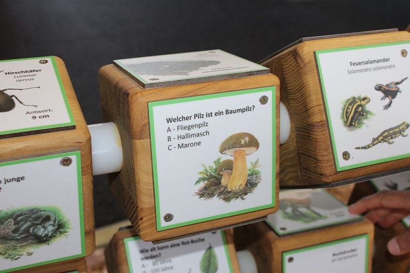 Indoorspielplatz auf Possen er&ouml;ffnet (Foto: Karl-Heinz Herrmann)