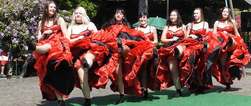 22. Rhododendronfest in S&uuml;lzhayn (Foto: Peter Blei)