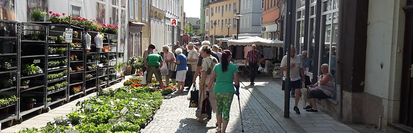 Verwegener Vorschlag? (Foto: Karl-Heinz Herrmann)