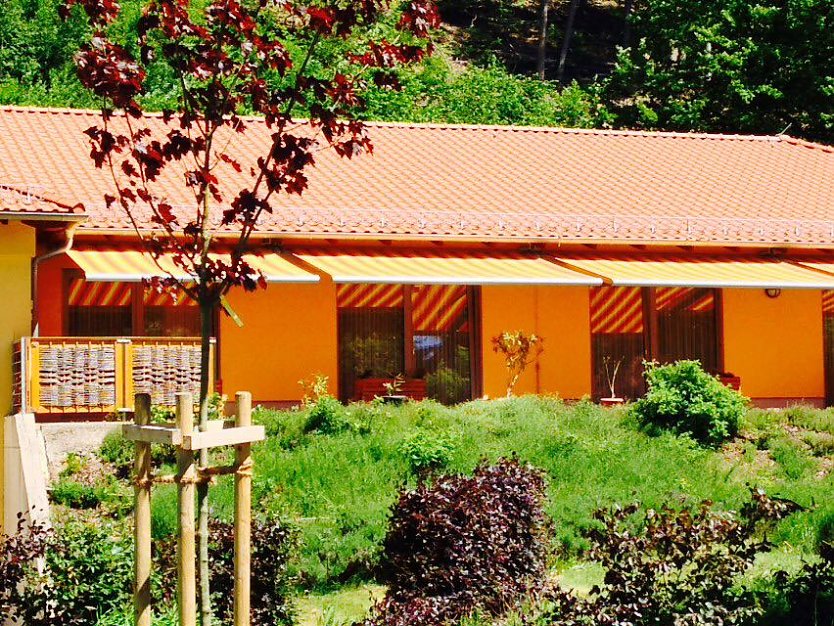 Im Neustädter Hospiz kann der Sommer kommen (Foto: Margret Holzapfel) Im Neustädter Hospiz kann der Sommer kommen (Foto: Margret Holzapfel)