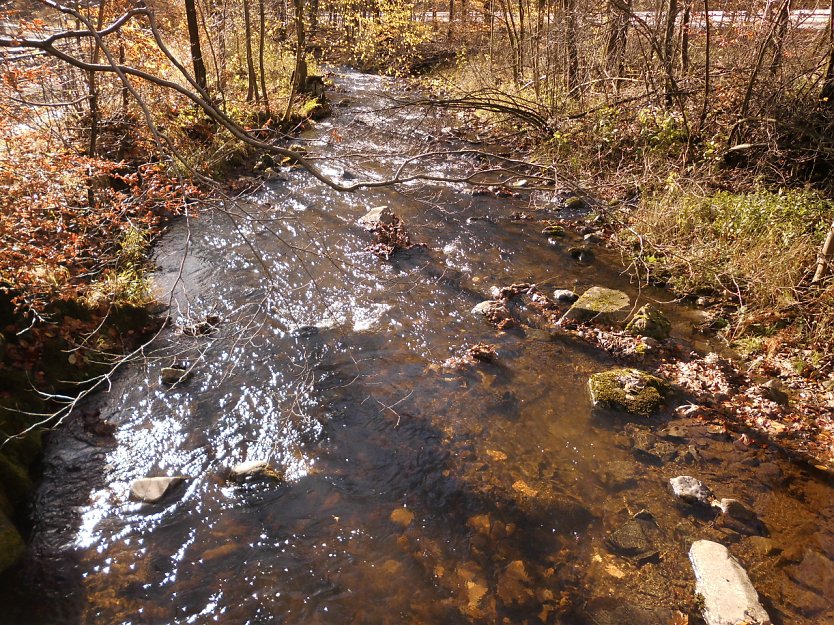 Der kleine Fluss Bere beim Bahnhof Eisfelder Talm&uuml;hle am 30.10.2017 (Foto: Bernd Thielbeer)