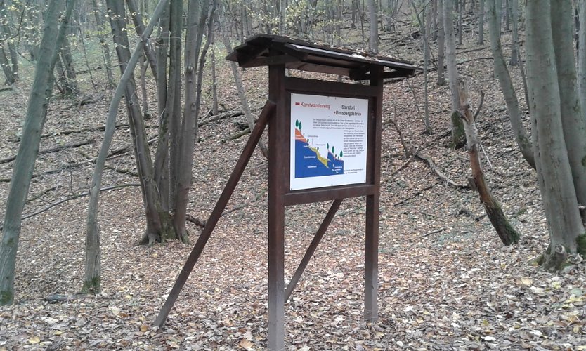 Neue Infotafel am Karstwanderweg (Foto: B. Schwarzberg)