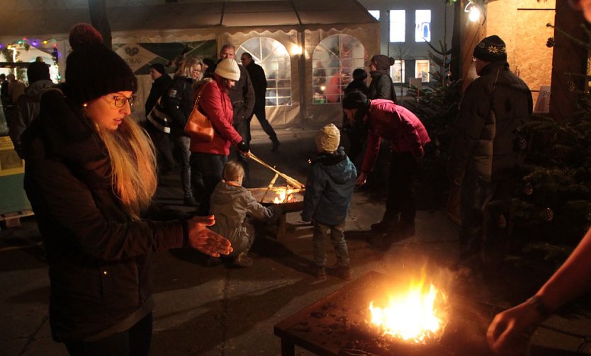 Handwerkermarkt 2016 (Foto: Angelo Glashagel)