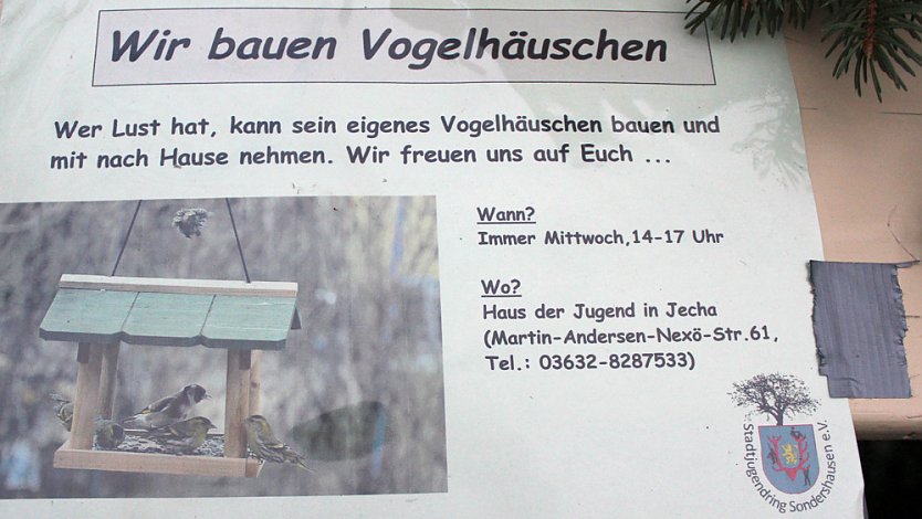 Klein aber fein (Foto: Karl-Heinz Herrmann)
