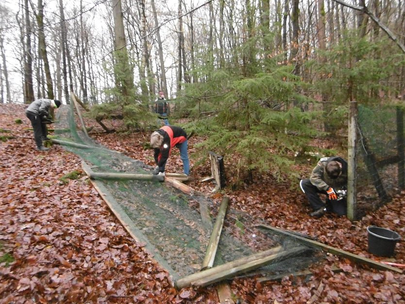 Ellricher Regelsch&uuml;ler im Stadtwald (Foto: Oberschule Ellrich - Staatliche Regelschule)