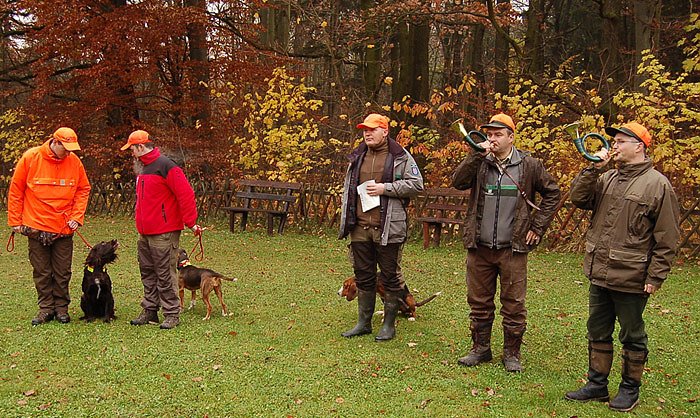Jagd im Kyffhäusergebirge (Foto: Forstamt Oldisleben) Jagd im Kyffhäusergebirge (Foto: Forstamt Oldisleben)