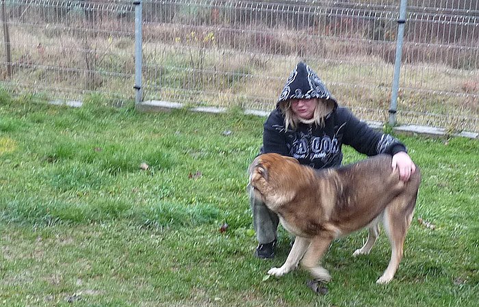 Asta (Foto: Karl-Heinz Herrmann)