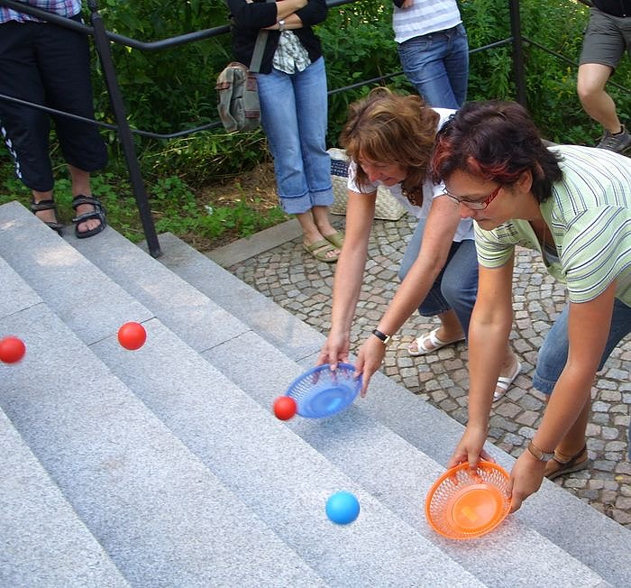 Treppenk&auml;fer (Foto: JSW)
