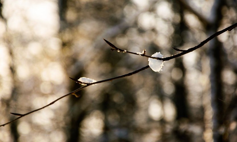 Wetterbild (Foto: Gernot Thelemann)