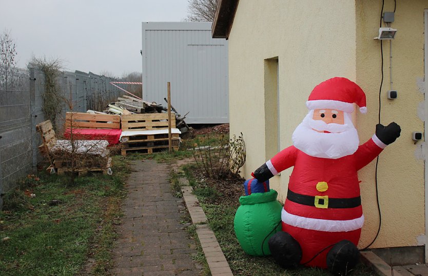 Weihnacht bei den Samtpfoten (Foto: Karl-Heinz Herrmann)